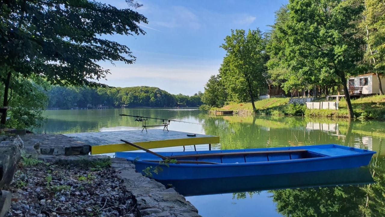 Magaze De Luxe Villa Gradacac Kültér fotó