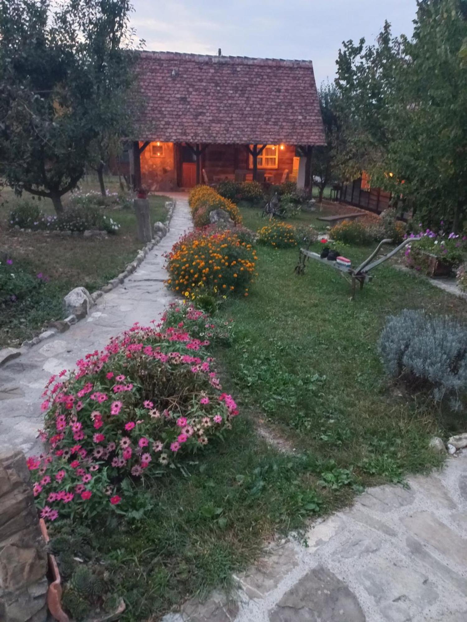 Magaze De Luxe Villa Gradacac Kültér fotó