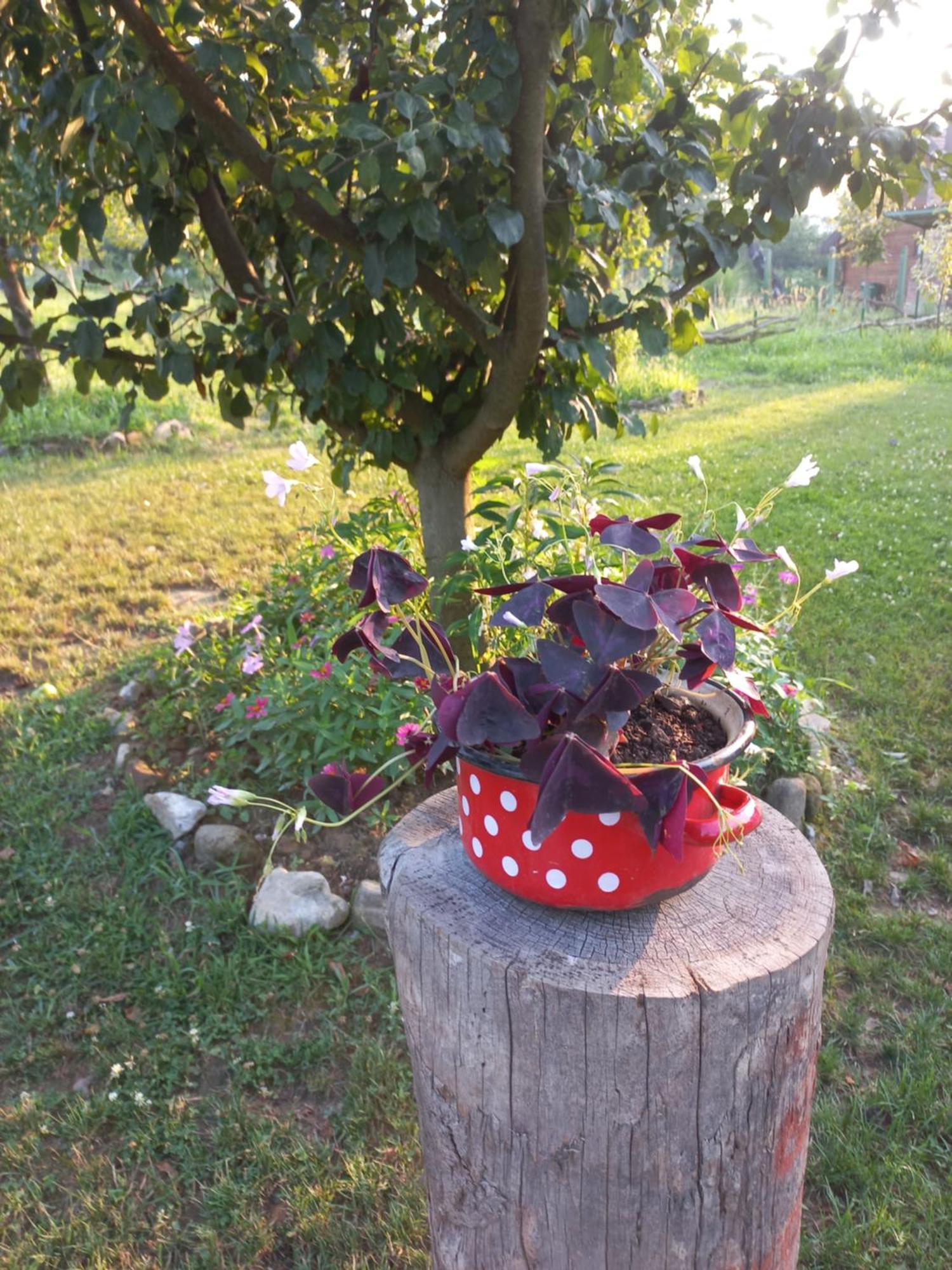 Magaze De Luxe Villa Gradacac Kültér fotó