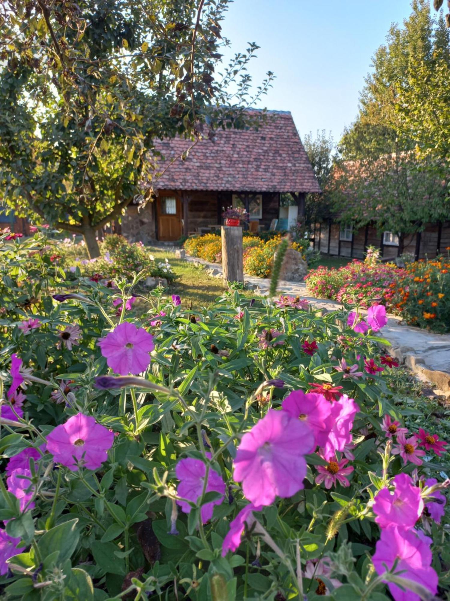 Magaze De Luxe Villa Gradacac Kültér fotó